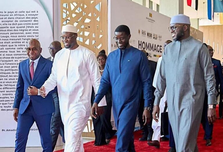 WhatsApp Image 2025-11-19 at 16.38.06