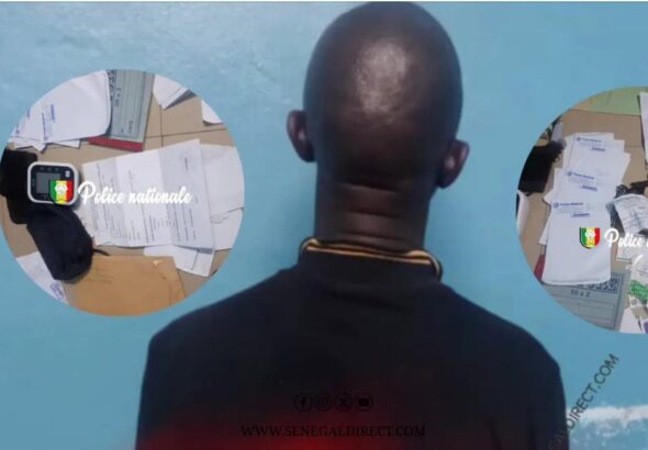 WhatsApp Image 2025-11-28 at 15.39.19