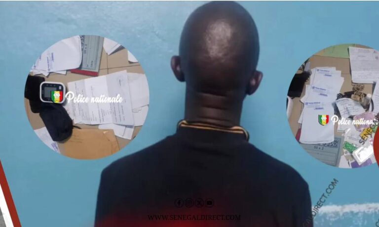 WhatsApp Image 2025-11-28 at 15.39.19