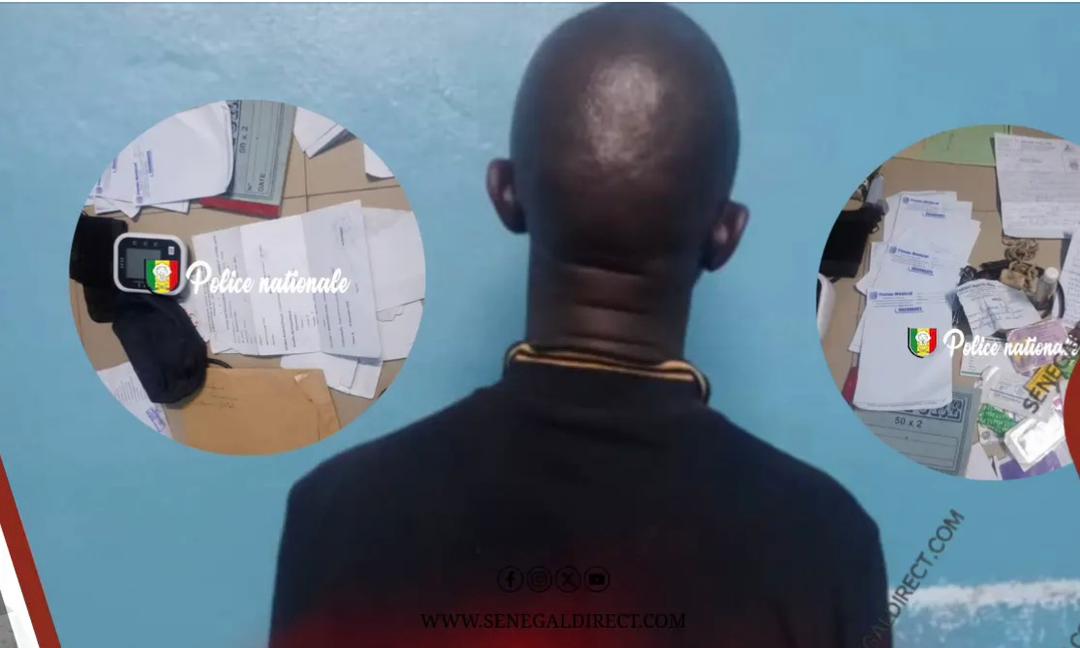 WhatsApp Image 2025-11-28 at 15.39.19